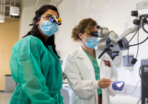 Dentistry student learns from instructor.