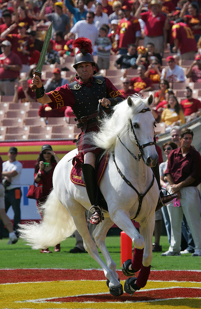 This is a photo of Traveler running around the field at the Coliseum.